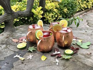 Copper mule mug set maple sanctuary drink <b>cups</b> <b>reusable</b> handmade beverage mugs premium durable collection - Product Image 5