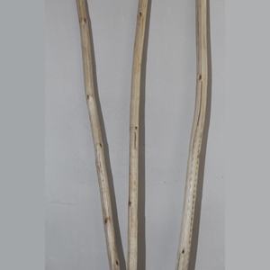 แท่งหวายธรรมชาติแบบ100% สำหรับช่อดอกไม้ตกแต่งบ้านแบบ DIY - Product Image 2