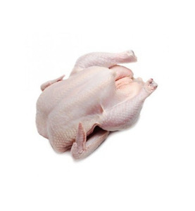 Concentrated Halal Frozen Whole <b>Chicken</b> Bulk Orders for Supermarket Chains - Product Image 4