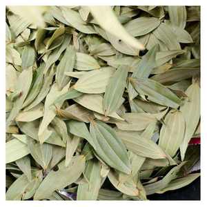 Feuilles de Laurier Vertes Séchées Conventionnelles à Forte Demande, Marque KYAARI, 30 kg, Qualité Commerciale, Épice, Durée de Conservation 12 Mois, Jaunpur - Product Image 4