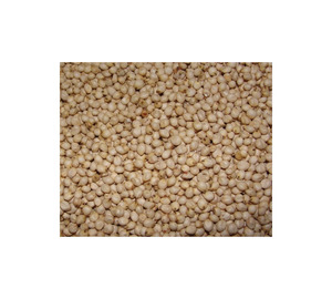 Graines de sorgho de qualité supérieure, stock frais, vente en gros, approvisionnement en vrac, exportation mondiale, Afrique du Sud, longue durée de conservation pour l'alimentation - Product Image 3
