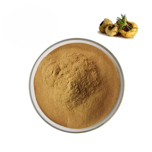Polvo de Raíz de Maca 100% Natural Certificado por ISO, Suplemento Natural de Lepidium Meyenii para Aumentar la Energía, la Resistencia y la Energía - Product Image 6