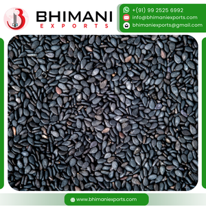 Graines de sésame noir crues, riches en calcium et en protéines, naturelles, premium, fraîches, 1-3,5 mm, 25 kg, en vrac, mélanges d'épices et d'assaisonnements - Product Image 2