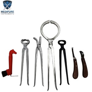 Kit de Herramientas de Herrador de Alta Calidad, Juego de Cuidado de Pezuñas de Acero Inoxidable con Cuchillo para Pezuñas, Escofina y Alicates, Equipo Veterinario - Product Image 5