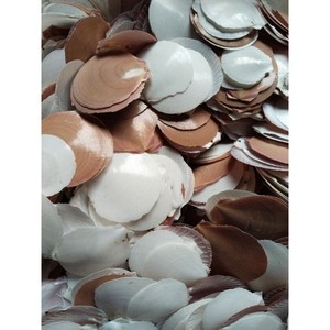 Oferta Especial: Conchas de Capiz Blancas Naturales 100% Puras, Pulidas y Sedosas - Diseño Rústico Moderno para Decoración Navideña - Product Image 3