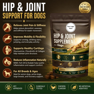 Complément Articulaire pour Chiens OEM ODM : Glucosamine, Chondroïtine, MSM – Friandises Molles Riches en Protéines pour la Mobilité des Chiens et Chats Âgés - Product Image 4