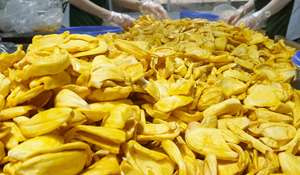 Chips de Jaca Natural Saludables al por Mayor, Rebanadas en Salmuera, Fritas y Crujientes, Snacks de Fruta Seca en Bolsa Sellada - Product Image 5