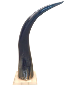 Support en bois pour corne de buffle décorative 100% naturelle à prix abordable, objets décoratifs en corne de buffle - Product Image 1