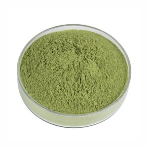 Poudre de feuilles de Qasil 100% pure OEM/ODM, poudre naturelle de Ziziphus Mauritiana pour le lavage du visage, les masques faciaux et les soins du cuir chevelu - Product Image 4