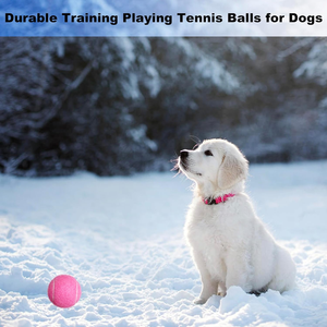Pelota de Tenis Duradera de Primera Calidad, Alto Rendimiento para Práctica, Entrenamiento y Partidos, Excelente Rebote, Uso en Todas las Canchas - Product Image 6