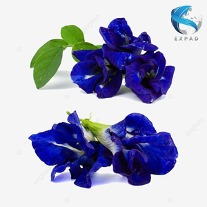 Flores de Guisante Mariposa Secas Listas para Suministrar, Pétalos Azules Naturales, Té Herbal, 18 Meses de Vida Útil, Bebida, Venta al por Mayor a Granel, Vietnam - Product Image 3