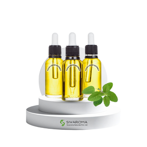 Extracto Líquido de Tulsi de Primera Calidad para Cuidado Personal, Bebidas e Industria Herbal, Suministro a Granel, Distribución Mundial - Product Image 1