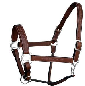 Nuevo diseñador Six Fancy Padded Halter-Latón Níquel Hardware Ajustable Horse Halter Hecho en India con cuero genuino 100% - Product Image 2