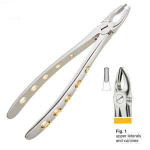 Pinzas de Extracción para Dientes Superiores Laterales y Caninos, Instrumentos Dentales de Ortodoncia, Venta al por Mayor, Acero Inoxidable, Shuja Surgico - Product Image 3