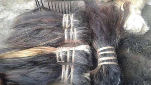 ราคาโรงงานสำหรับขนหางวัวแบบหวีและจัดแต่งทรงใหม่ล่าสุด เป็นมิตรกับสิ่งแวดล้อม คุณภาพธรรมชาติ สำหรับงานเย็บ - Product Image 4