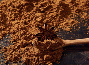 ANÍS ESTRELLADO EN POLVO PURO EN VENTA AL POR MAYOR / ESPECIAS NATURALES EN POLVO DE ANÍS PARA PRODUCTORES DE ALIMENTOS - Product Image 1
