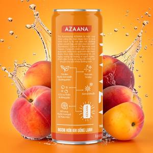 Boisson Kombucha Pêche-Abricot Personnalisée OEM, Thé Fermenté Probiotique Prêt à Boire, Vente en Gros - Product Image 4