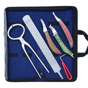 Kit d'outils de fermeur pour le soin des sabots équins avec boucle de détection d'abcess, testeur de sabot, détecteur de douleur, couteau et râpe premium à extrémité en laiton courbée verte - Product Image 1