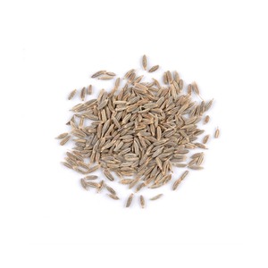 เมล็ดยี่หร่าสดใหม่สำหรับผู้ซื้อวัตถุดิบระดับสากล พร้อมกลิ่นหอมแท้จริงและคุณภาพเมล็ดที่เหนือกว่าเพื่อความเชื่อถือได้ - Product Image 1