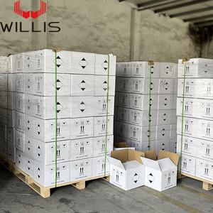 Stucco per Carrozzeria WILLIS W60 di Alta Qualità, Riparazione Auto, Poliestere, Asciugatura Rapida, Facile da Carteggiare - Product Image 5