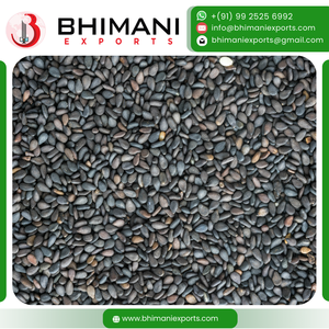 Semillas de Sésamo Negro Indio Natural Premium Frescas de 1-3.5mm, Calidad de Exportación, 99.97% de Pureza, Certificadas por FSSAI, Paquetes a Granel, Ideales para Aceite - Product Image 4