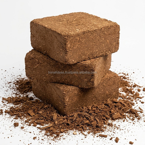 Bloc de tourbe de coco naturelle 5 kg, Indonésie, déchets agricoles, tourbe de coco pour la décoration intérieure, potager - Product Image 1