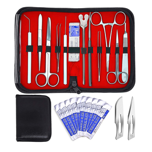 Pinzas de Tendón Englert 4 x 5 con Dientes Atraumáticos de Acero Inoxidable, Instrumento Ortopédico, Instrumentos Médicos - Product Image 2