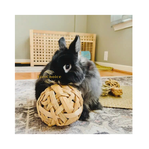 Natural Fiber Pet Toy Safe Durable Small Animals Indoor Outdoor Vietchoice Eco Friendly Modern Water Hyacinth Chew <b>Ball</b> - Product Image 4
