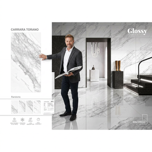 Carreaux de sol en porcelaine polie VISTAAR Breccia Classic Design 600x1200mm 8mm, Piso De Porcelanato Chino 60x120 - Product Image 3