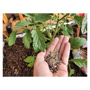 Fertilizantes de Alta Calidad para Plantas, Nutrición del Suelo, Rendimiento de Cultivos y Mejora del Crecimiento de las Plantas - Product Image 5