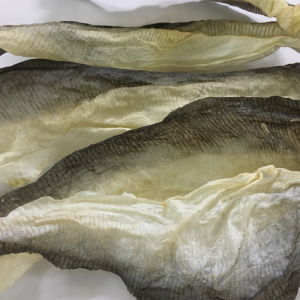 MEJOR PRECIO PIEL DE PESCADO CONGELADA FRESCA / PIEL DE PESCADO PANGASÍ CONGELADA para Colágeno / Sra. Lima - Product Image 6