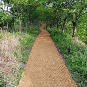 Vietnam Coir Mesh Fiber <b>Mat</b> for Microgreen High Water Retention Biodegradable Thickness 10mm 1.2x10m <b>Roll</b> Packing Factory Price - Product Image 5