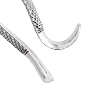 Forceps d'extraction dentaire # 288 Instruments chirurgicaux dentaires manuels en acier inoxydable avec poignée ergonomique certifiés CE pour racines supérieures et inférieures, incisives - Product Image 5