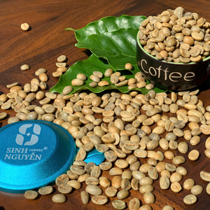 Café en vrac non torréfié de haute qualité, processus vert, fèves mûres, OEM, sac de 60 kg, lavé, 99% Arabica, export usine Vietnam, pour café - Product Image 4