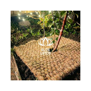 Tapis en fibre de coco de qualité supérieure, fabriqué à partir de fibres de coco propres, pour revêtement de sol et contrôle de la saleté aux entrées, destiné aux acheteurs en gros internationaux. - Product Image 1