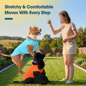 Ropa de verano para mascotas: Camiseta para perro con patrón sólido, chaleco para cachorro con logo y diseño personalizados, ropa para gato de tela suave, prendas lisas al por mayor. - Product Image 5