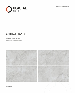 Azulejos de Porcelana con Superficie Mate 24x48 (600x1200mm), Fabricante de Azulejos para Pisos de Primera Calidad en India - Product Image 1