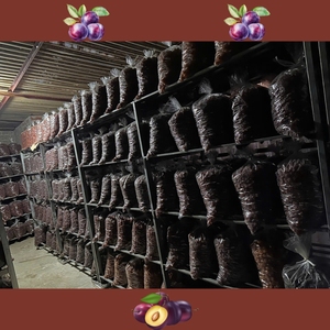 Ciruela seca natural de Son La Vietnam Secado natural sin conservantes Fabricado por Vilaconic - Product Image 6