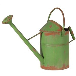 Arrosoir décoratif en métal de style campagnard vintage pour arroser les plantes et les fleurs, avec long bec, élégant accessoire de jardin. - Product Image 1