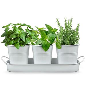 Rustic Galvanized Metal Planter With Rope Handles Flowers And <b>Garden</b> Design For Outdoor Use - Product Image 5