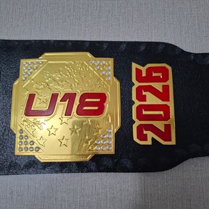 Cinturón de Campeonato Personalizado para Taekwondo, Judo, Boxeo, MMA, Jiu-Jitsu y Lucha Libre, 2 cm de Grosor, Forro de Piel Sintética, Fabricante y Proveedor OEM - Product Image 4