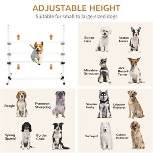 Attrezzatura per l'addestramento all'agility canina per un allenamento efficace dei cani - Product Image 4
