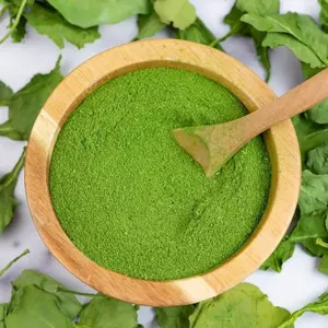 Polvo de Espinaca Secado por Aspersión - Polvo Verde Rico en Hierro y Calcio, Alto en Proteínas, Nombre Científico Spinacia Oleracea, para Smoothies/Batidos - Product Image 1