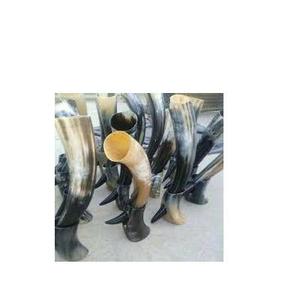 Corne à boire artisanale en corne de buffle, style Viking, polissage naturel, en forme de cloche, chopes à bière vintage réutilisables - Vente en gros - Product Image 2