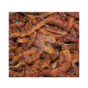 NATURAL PURE Raw Tamarind Meat <b>Shaped</b> <b>Blocks</b> Premium Professional Kitchen Use Ensuring Reliable Taste Texture - Product Image 1