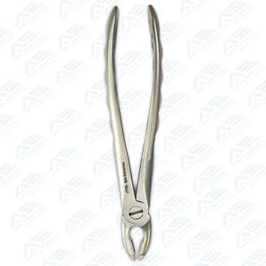 Instrumento Dental para Extracción Dental Eficiente, Equipos Dentales con Certificación CE, Fórceps Anteriores Superiores Tipo Dentado de Precisión - Product Image 6