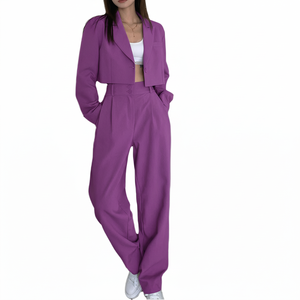 Conjunto de dos piezas para mujer: Sudadera corta con cremallera y pantalones de chándal, color liso, ajuste ceñido, estilo urbano. - Product Image 3