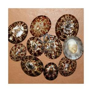 MUY VENDIDO 2026 Conchas Decorativas de Limpet para Marcos de Espejos y Manualidades, Conchas Marinas Puras, Limpias, Seguras y Duraderas, Suministros para Artesanía Marina S - Product Image 1