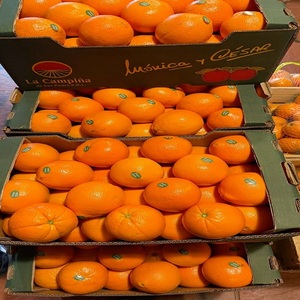 Naranjas Navel Frescas de Primera Calidad, Precio al por Mayor |   Frutas Cítricas Premium para el Mercado Global - Product Image 1