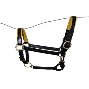 Venta al por mayor: Cabestro de cuero con cuerda de diseño personalizado ERHNH-0089 para deportes ecuestres, con acolchado suave, herrajes de aleación, duradero y cómodo para caballos. - Product Image 3